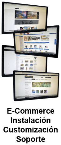 E-COMMERCE, INSTALACIN, CUSTOMIZACIN Y SOPORTE TCNICO
